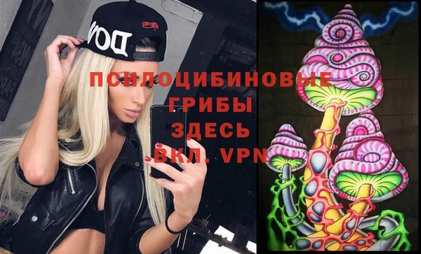 герыч Семилуки