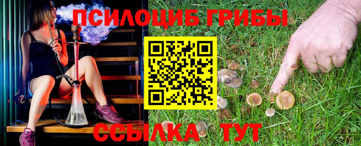 Псилоцибиновые грибы прущие грибы Соликамск